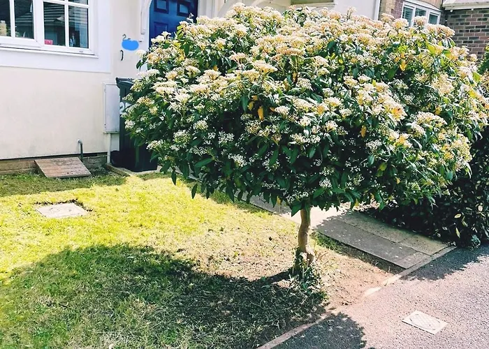 Modern 2-bed House In Stoke Gifford, Nr Parkway Statn, Free Parking Apartamento